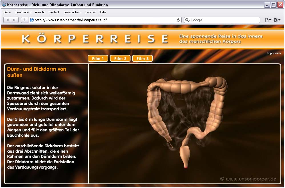 Screenshot Körperreise auf www.unserkoerper.de