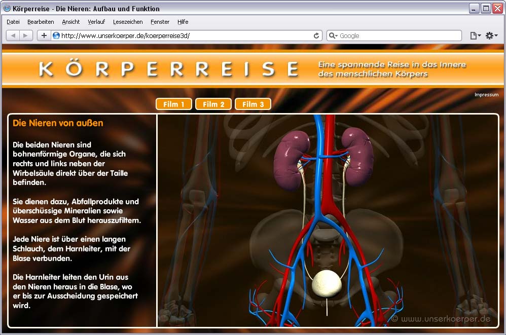 Screenshot Körperreise auf www.unserkoerper.de