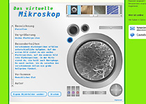 Screenshot Website www.unserkoerper.de